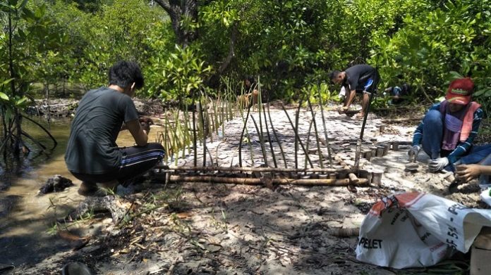 Ilustrasi gerakan program padat karya melalui penanaman mangrove