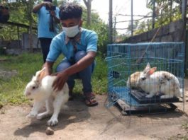 Kebun binatang di Yogya lepas satwanya untuk cari makan sendiri