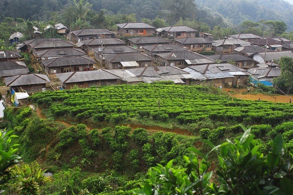 desa wisata Malasari Nangung, Bogor