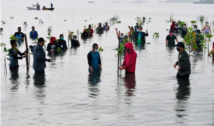 Presiden Jokowi (jaket merah) nyemplung di air laut