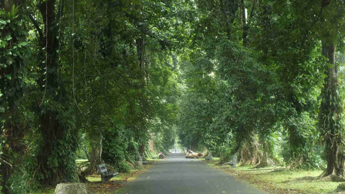 Pohon di Kebun Raya Bogor memiliki KTP