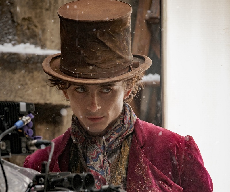 Ada 4 Aktor yang Audisi Perankan Willy Wonka Sebelum Timothee Chalamet