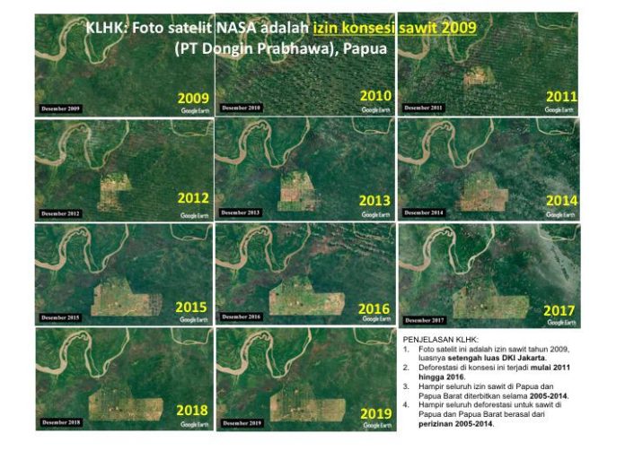 Gambar Hutan dari Satelit NASA