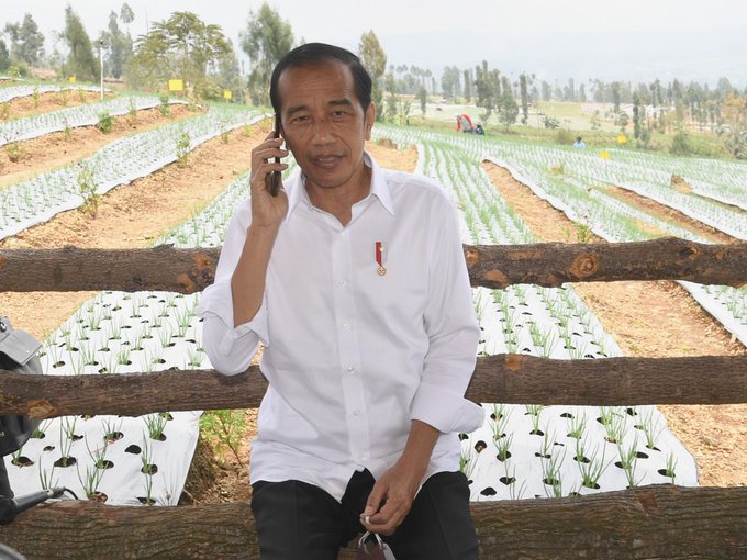 Presiden Jokowi telepon Mendag soal bawang putih impor