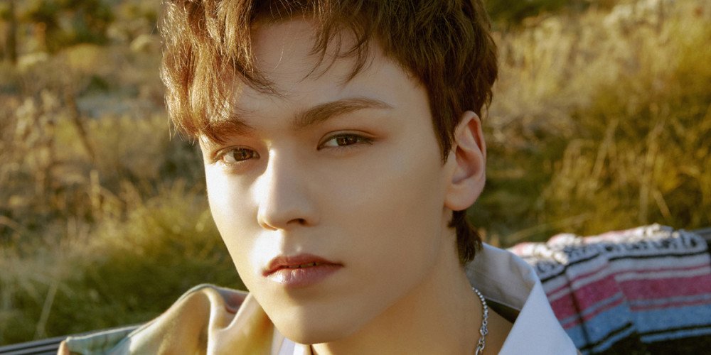 vernon seventeen