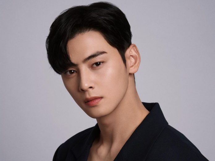 cha eun woo