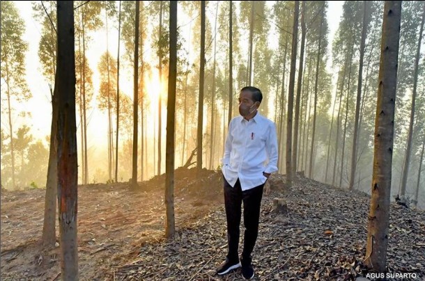 Presiden Jokowi saat berjalan di hutan berselimut kabut