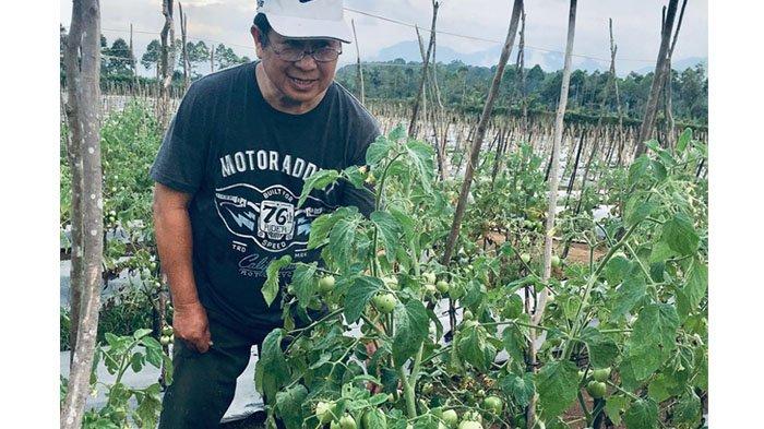 susno duadji jadi petani