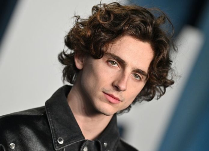 timothee chalamet