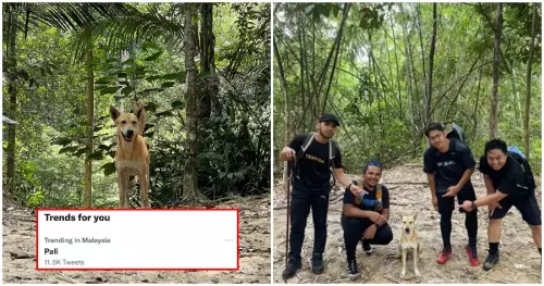 Seekor anjing memandu sekelompok mahasiswa menemukan jalan pulang (worldofbuzz)