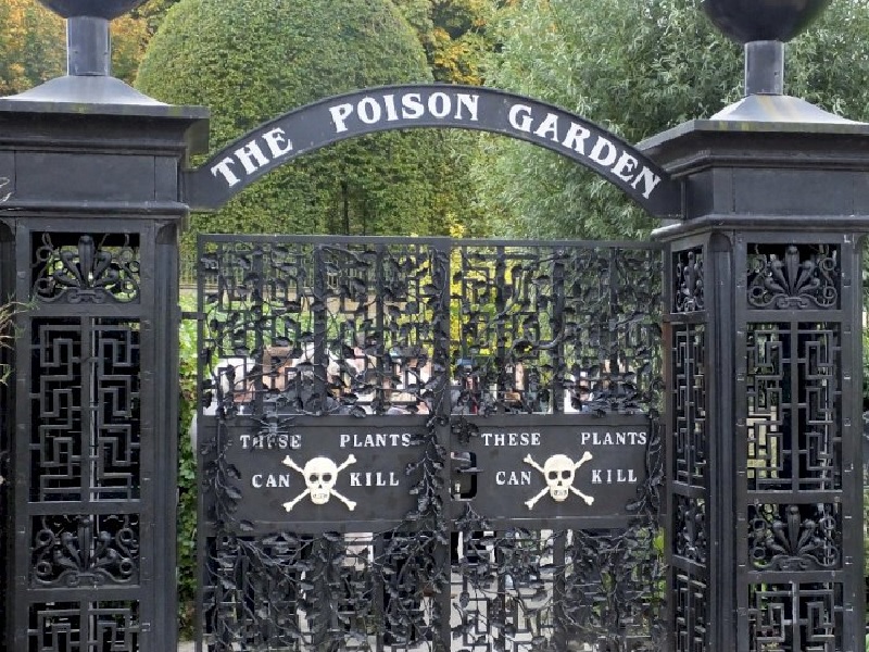 Bisa Membunuh Dan Memabukkan, The Poison Garden Taman Paling Berbahaya ...