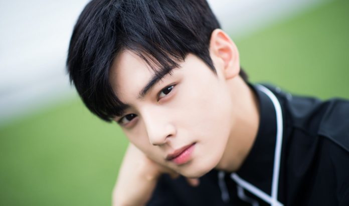 cha eun woo