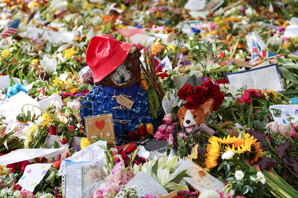 Boneka Paddington