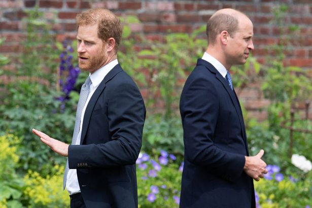 Pangeran Harry dan pangeran William