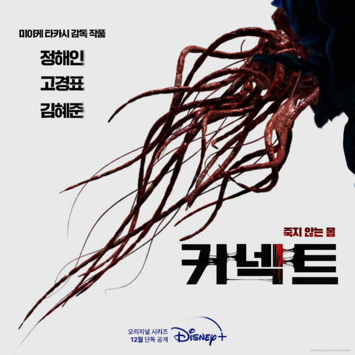 poster drama korea 'Connect'