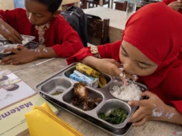 Program MBG Investasi Jangka Panjang Bagi Masa Depan SDM Nasional