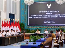 Percepat Pembangunan Papua, Dorong Kemajuan Merata di Seluruh Sektor