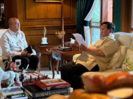 Investasi Hilirisasi Rp100 Triliun Dorong Pertumbuhan Ekonomi Daerah