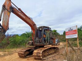 Penertiban Tambang dan Sawit Ilegal Diproyeksikan Tambah Rp142 Triliun Penerimaan Negara