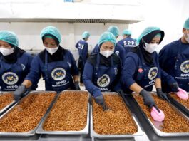 Program MBG Selama Ramadan Disesuaikan, Standar Gizi Seimbang Tetap Dijaga