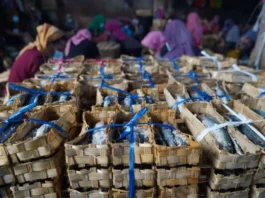 Penguatan Stok Nasional Redam Potensi Lonjakan Harga Ramadan