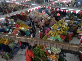 Stabilitas Pangan dan Energi Diperkuat lewat Bijak Konsumsi