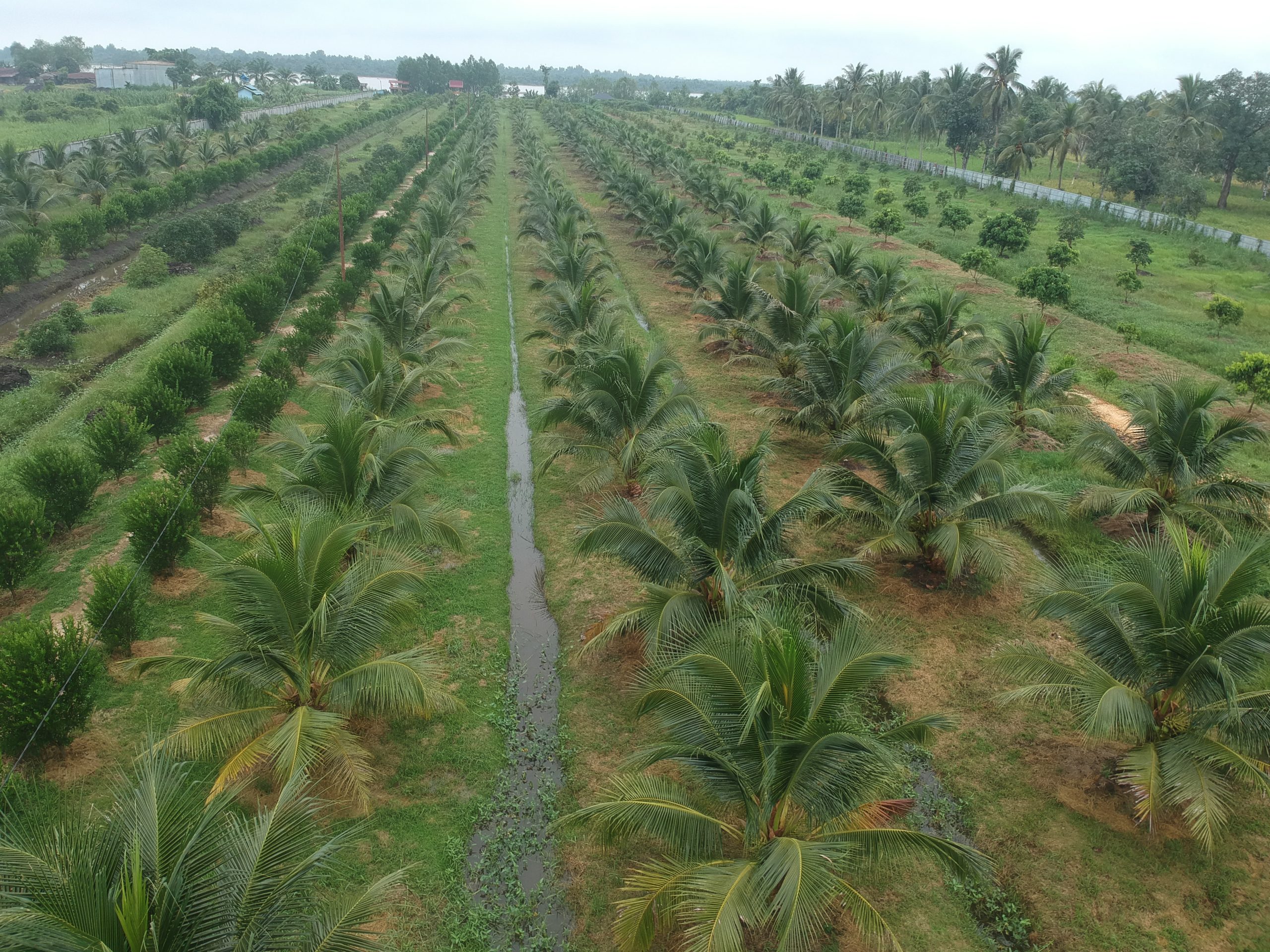 Hilirisasi Ragam Komoditas, Strategi Rasional di Tengah Ketidakpastian Global