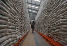 Di Tengah Dampak Global, Stok Beras Nasional Dipastikan Aman