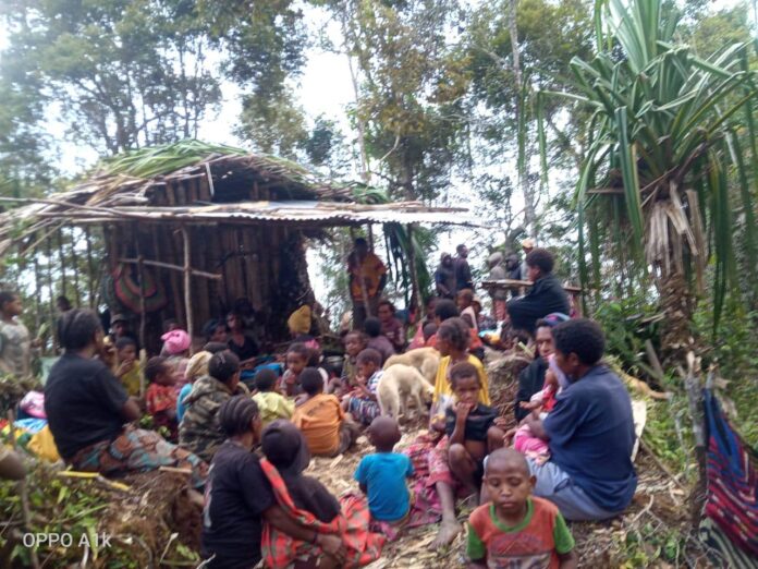 pengungsi di papua