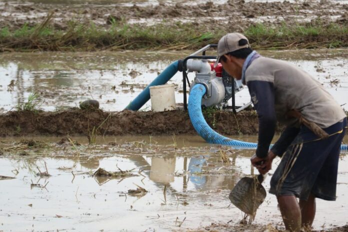 pompanisasi ketahanan swasembada pangan