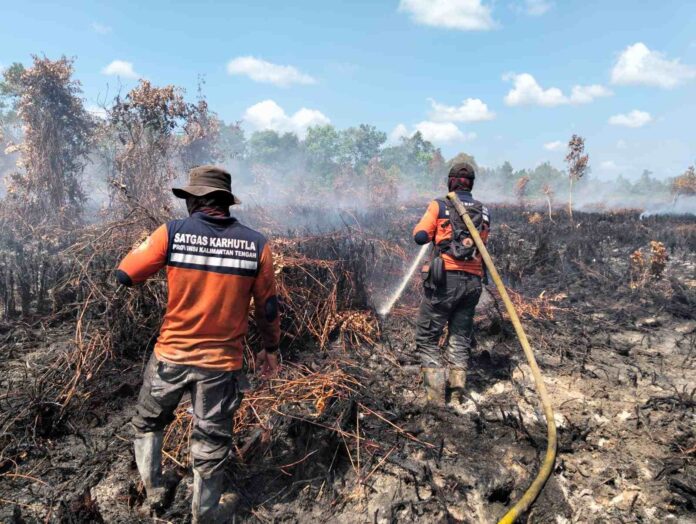 Karhutla Ditangani Lewat Operasi Darat dan Udara secara Terpadu