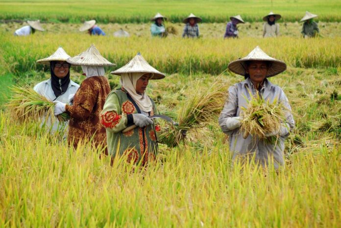 kesejahteraan petani