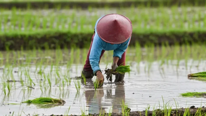 RUU Reforma Agraria Dinilai Sangat Penting Untuk Melindungi Hak Petani RUU Reforma Agraria Dinilai Sangat Penting Untuk Melindungi Hak Petani