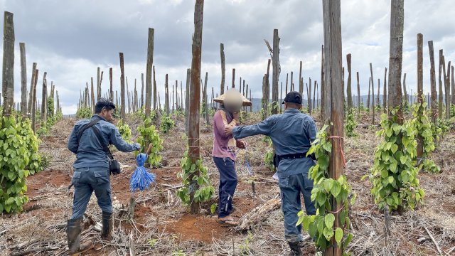 Pengawasan Perusahaan di Lahan Gambut Diperketat karhutla