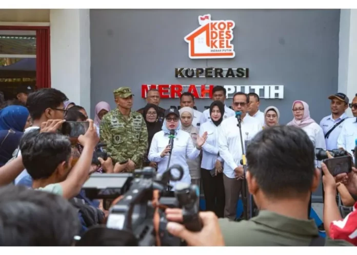 Wakil Menteri Koperasi Farida Farichah koperasi merah putih 2
